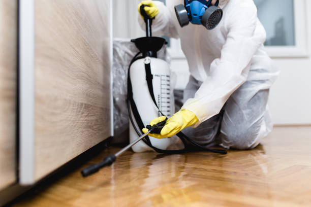Best Pest Control for Homes  in West Miami, FL