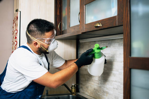 Pest Control Cost in West Miami, FL
