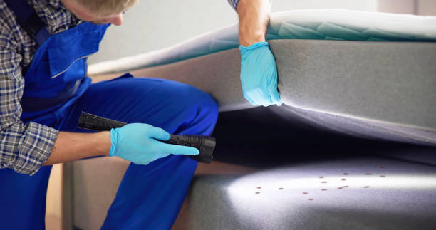 Best Best Pest Control Companies  in West Miami, FL