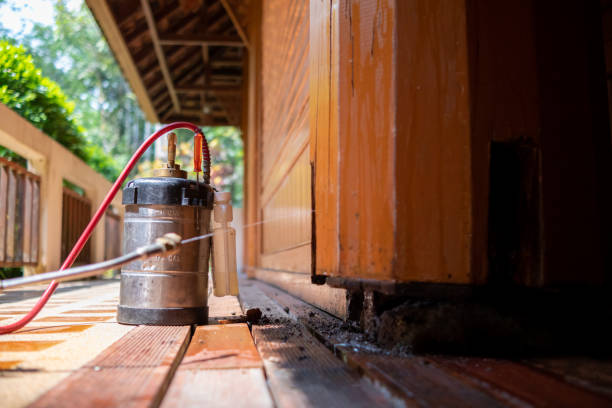 Best Pest Removal Services  in West Miami, FL