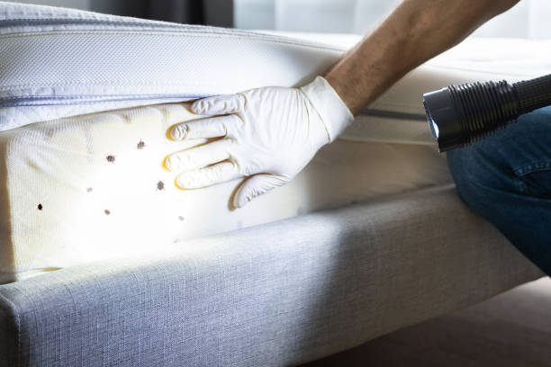 Best Emergency Pest Control  in West Miami, FL